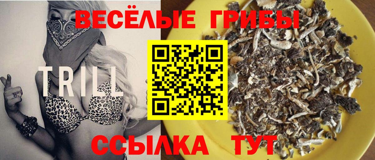 Галлюциногенные грибы Psilocybe  Вход с VPN  Ейск 