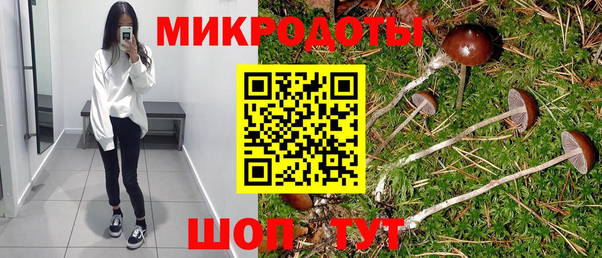 Псилоцибиновые грибы GOLDEN TEACHER Ейск
